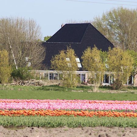 B&B Heeringhuusen Haringhuizen Exterior foto
