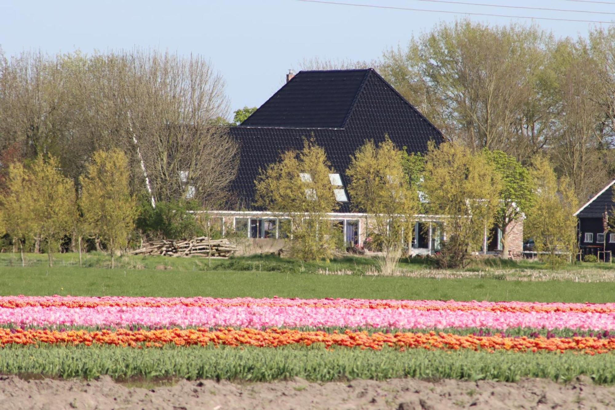 B&B Heeringhuusen Haringhuizen Exterior foto